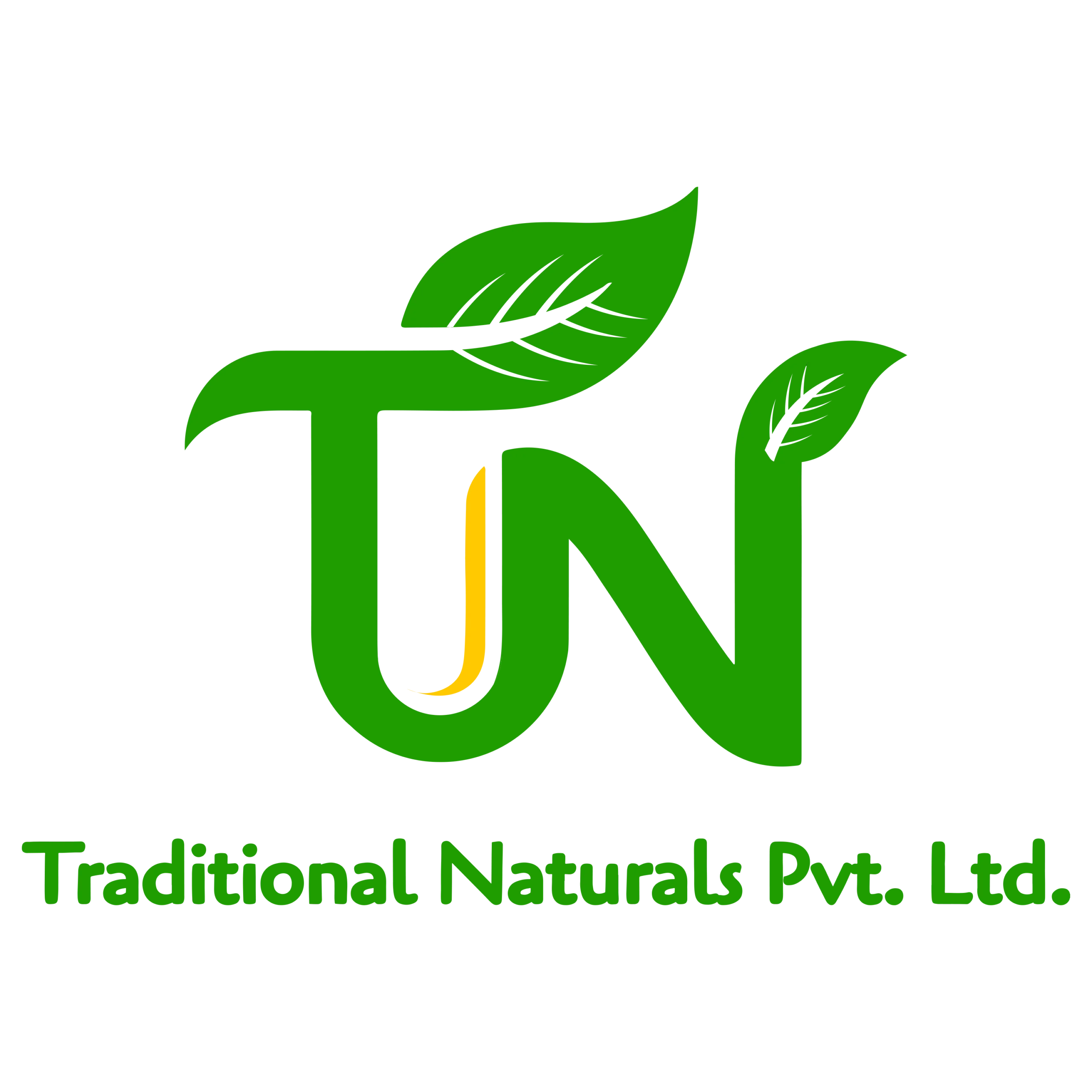 Traditional Ayurvedic Pvt Ltd